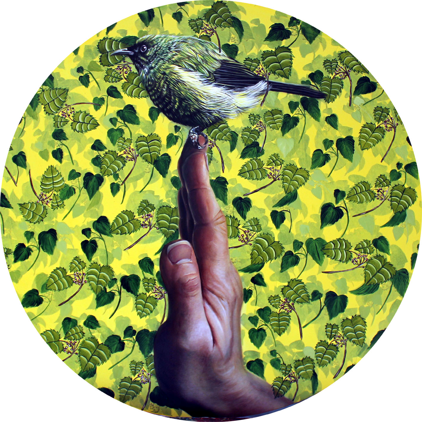 Bellbird on Artist’s Hand by Kate Beatty