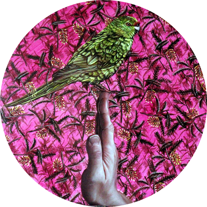 Forbes Parakeet on Artist’s Hand by Kate Beatty