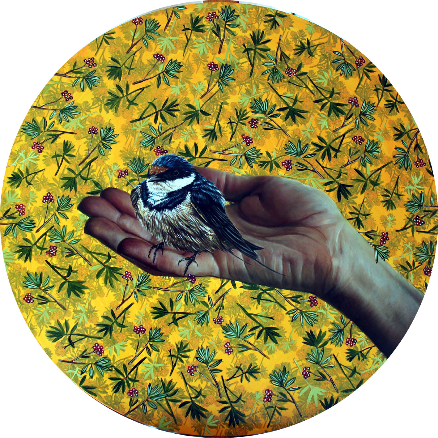 Swallow on Artist’s Hand by Kate Beatty