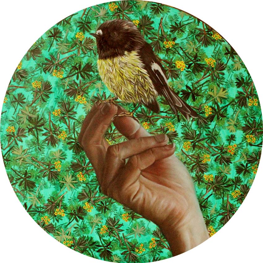 Tomtit on Artist’s Hand by Kate Beatty