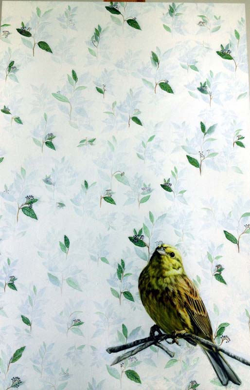 NZ Yellowhead bird print
